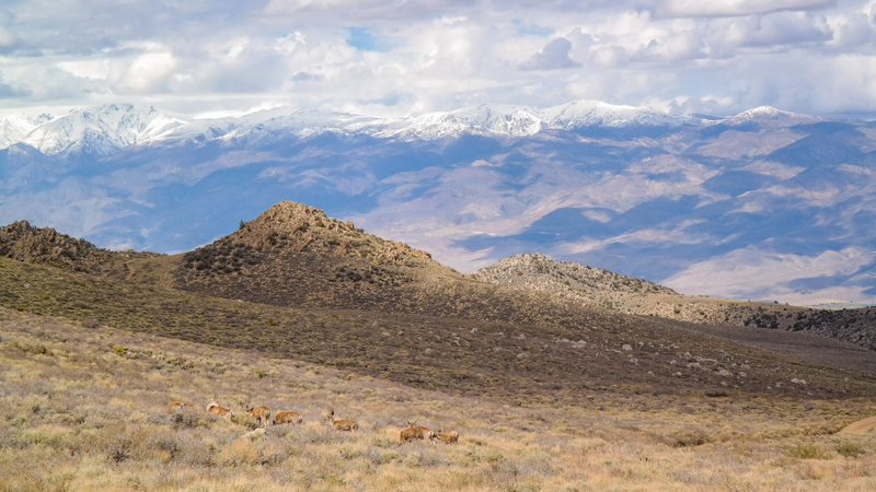 Illustration for article titled Off-Roading Above 10,000 Feet In The 2015 Ford F-150 FX4